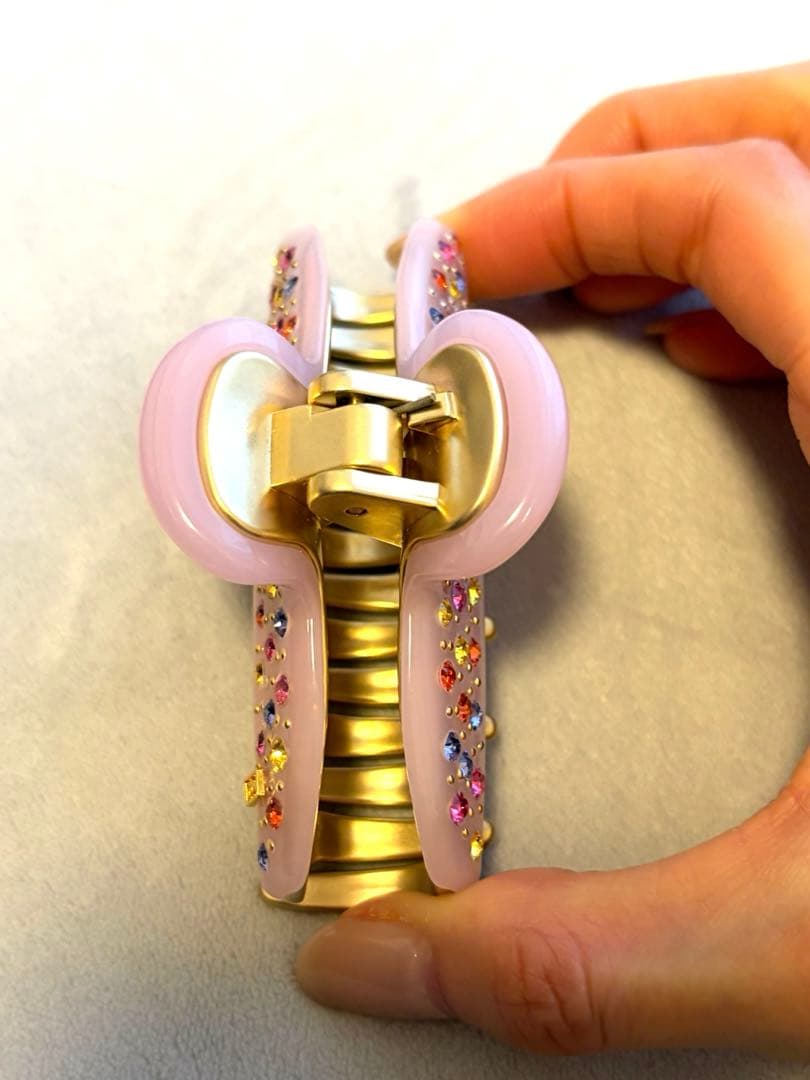 【新品未使用】アレクサンドルドゥパリ クリップ