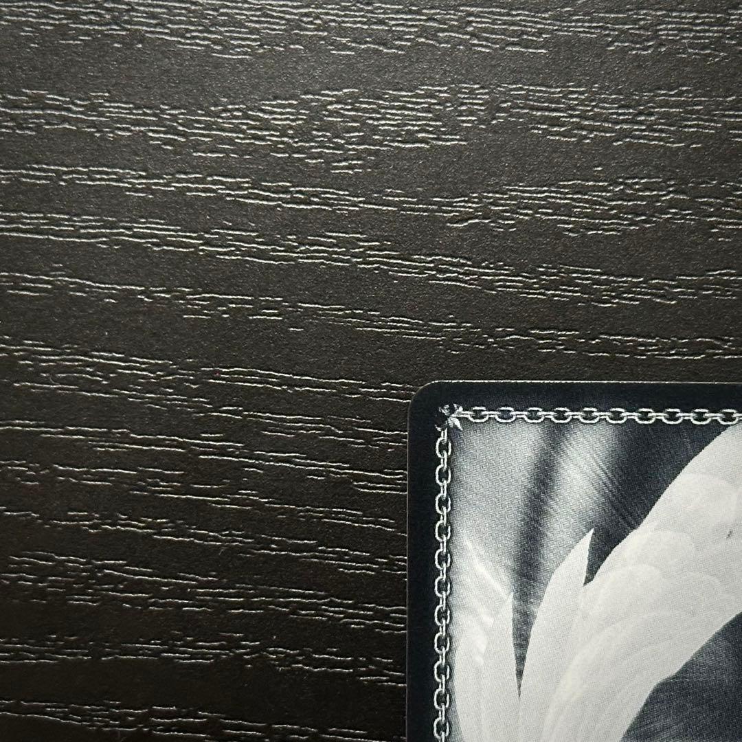 WS 次のキャンプ リン SSP サイン