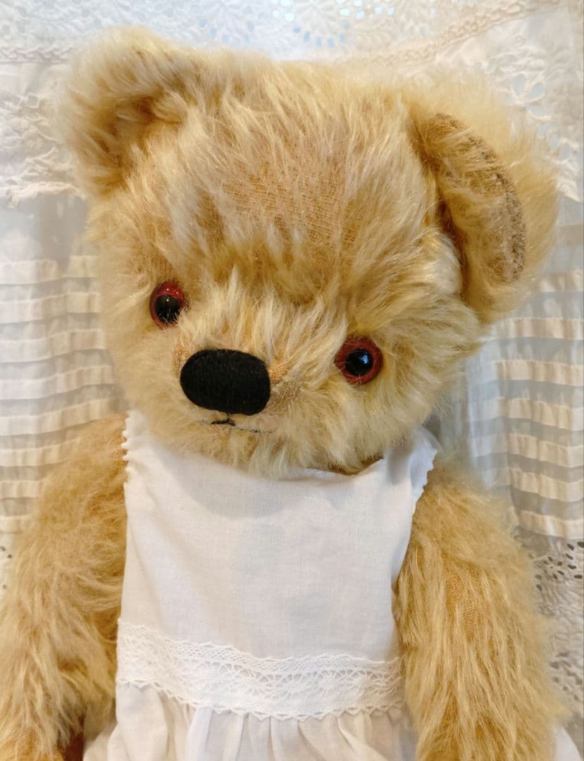 期間限定価格　チャドバレーベア 約37cm