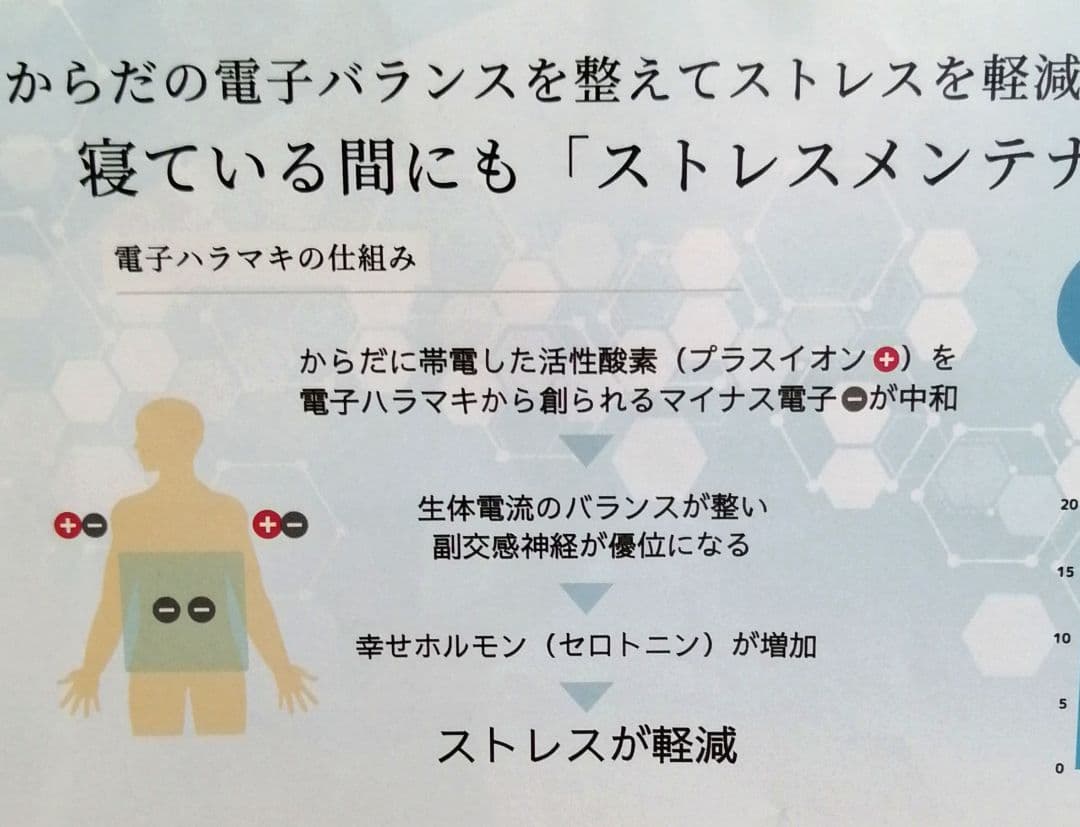 新品 BIYURA ビユラ 正規品 電子ハラマキ ラベンダー