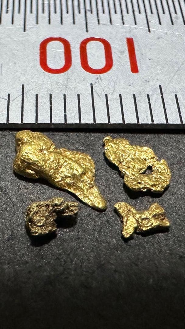 砂金　中粒砂金　観賞用