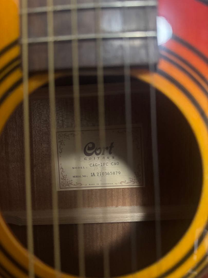 エレアコ（カポ付き）