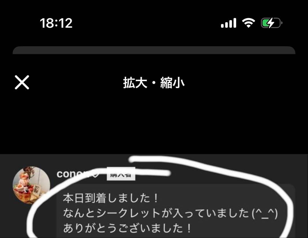 【正規品】 LABUBU Macaron 2点 未開封 ラブブ マカロン