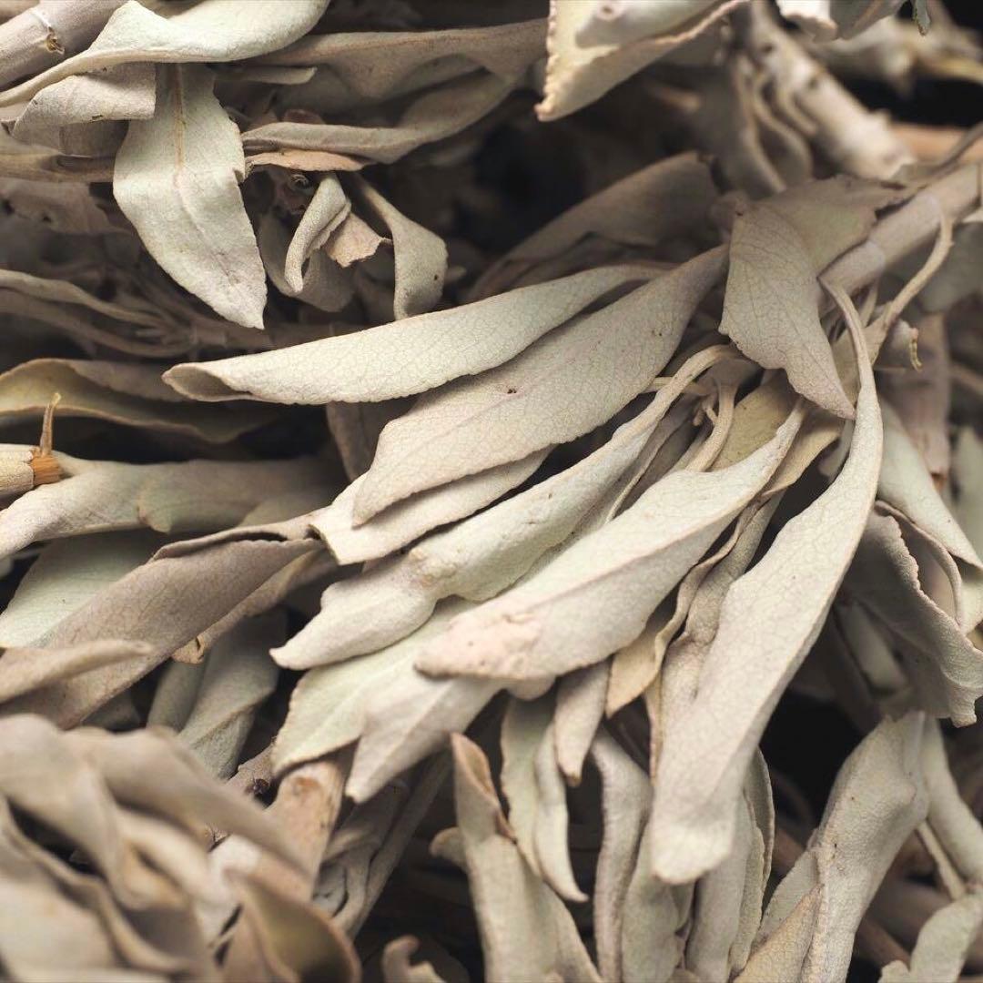 ★特選再入荷★無農薬カリフォルニア産【箱配送500g高品質ホワイトセージ】❤️