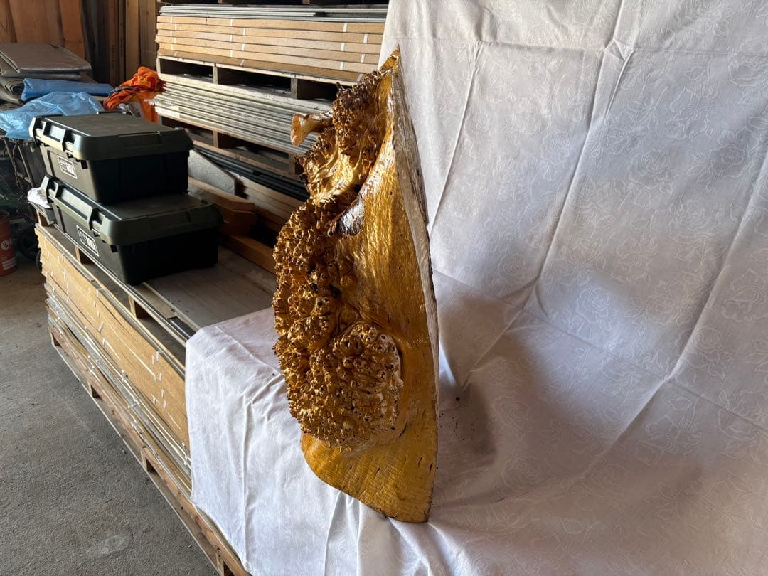 自然木の彫刻 装飾品 約75cm 高級感抜群　自立