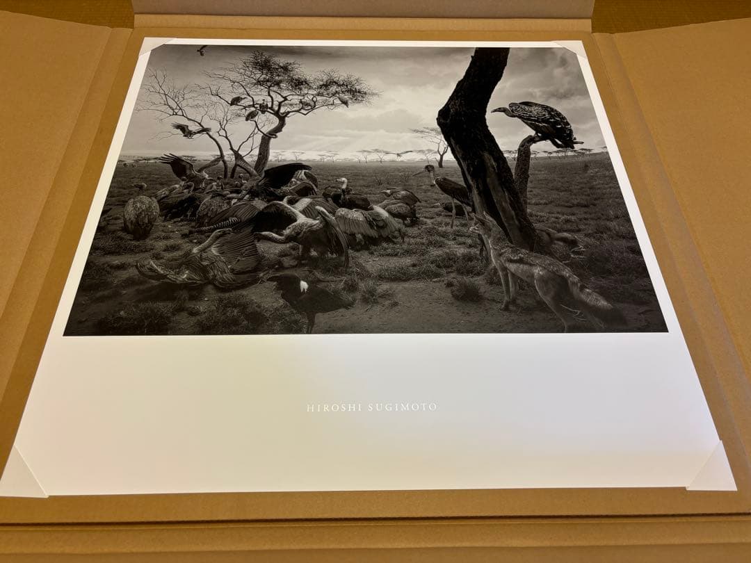 d*o様 杉本博司　真作　ポスター　「ハイエナ　ジャッカル　コンドル」