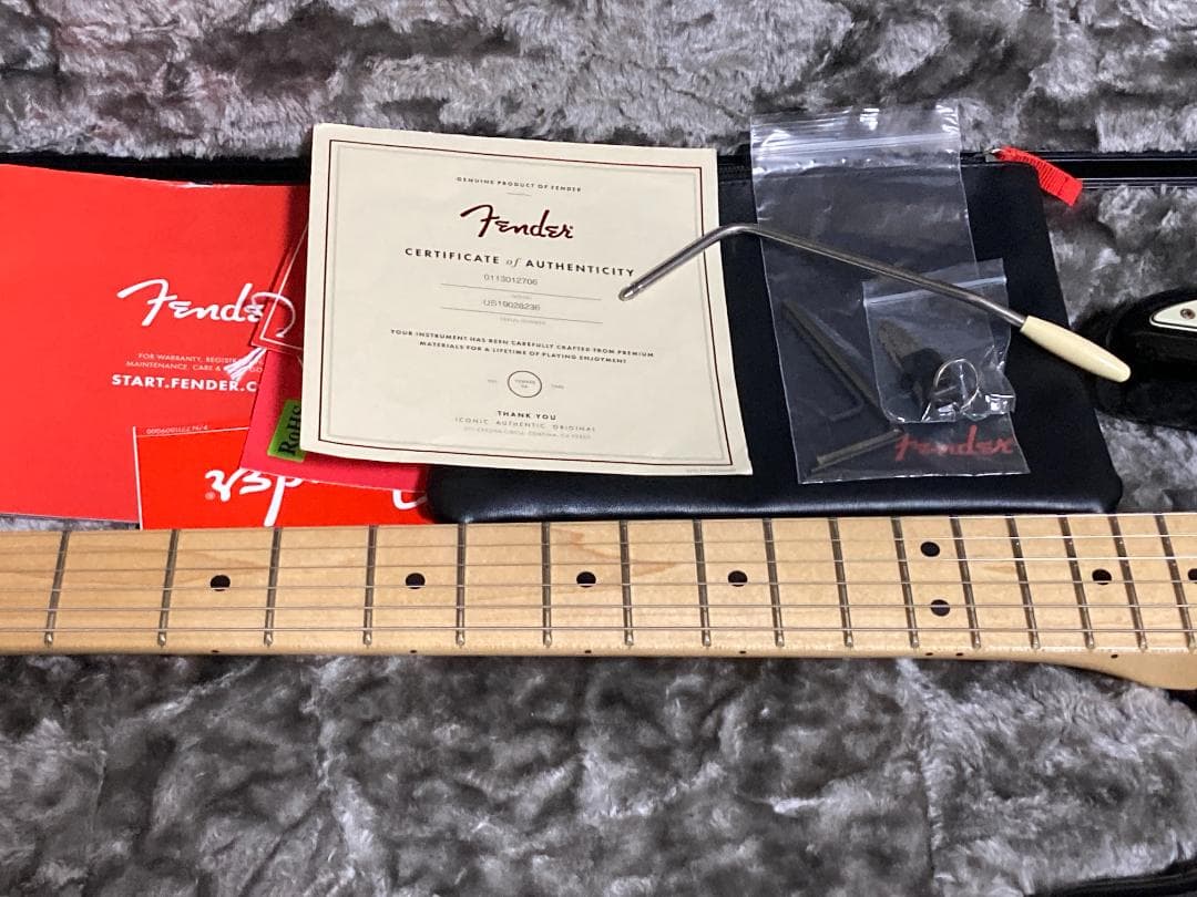 Fender American Professional Stratoメンテ済み