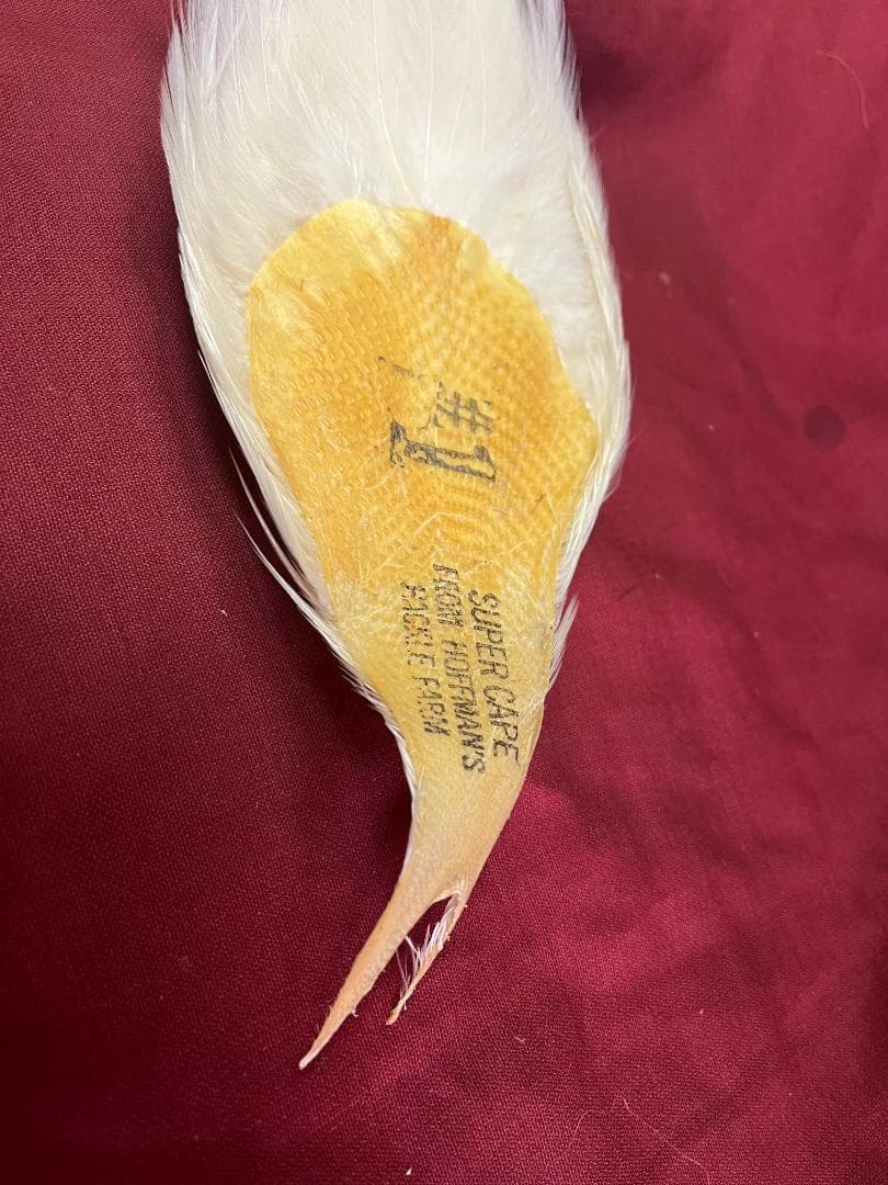 ホフマン　ハックルケープ