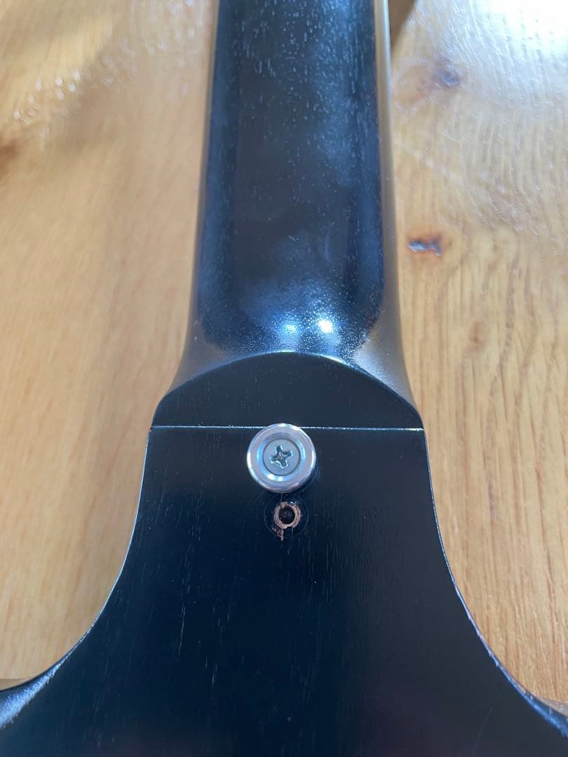 ギター Gibson SG Tribute Future