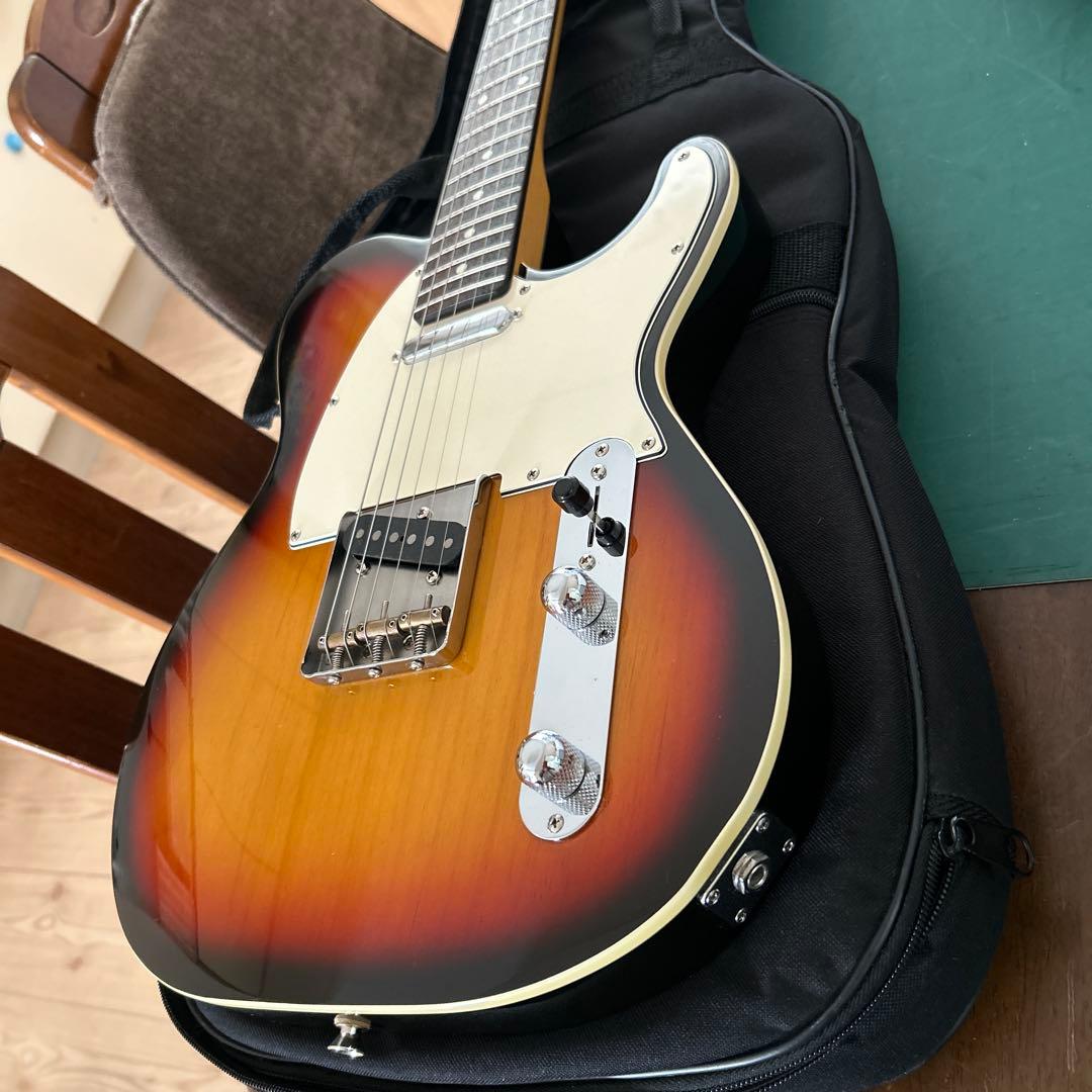 COOL-Z テレキャスタータイプ ZTL-2R/3TS フジゲン製造品