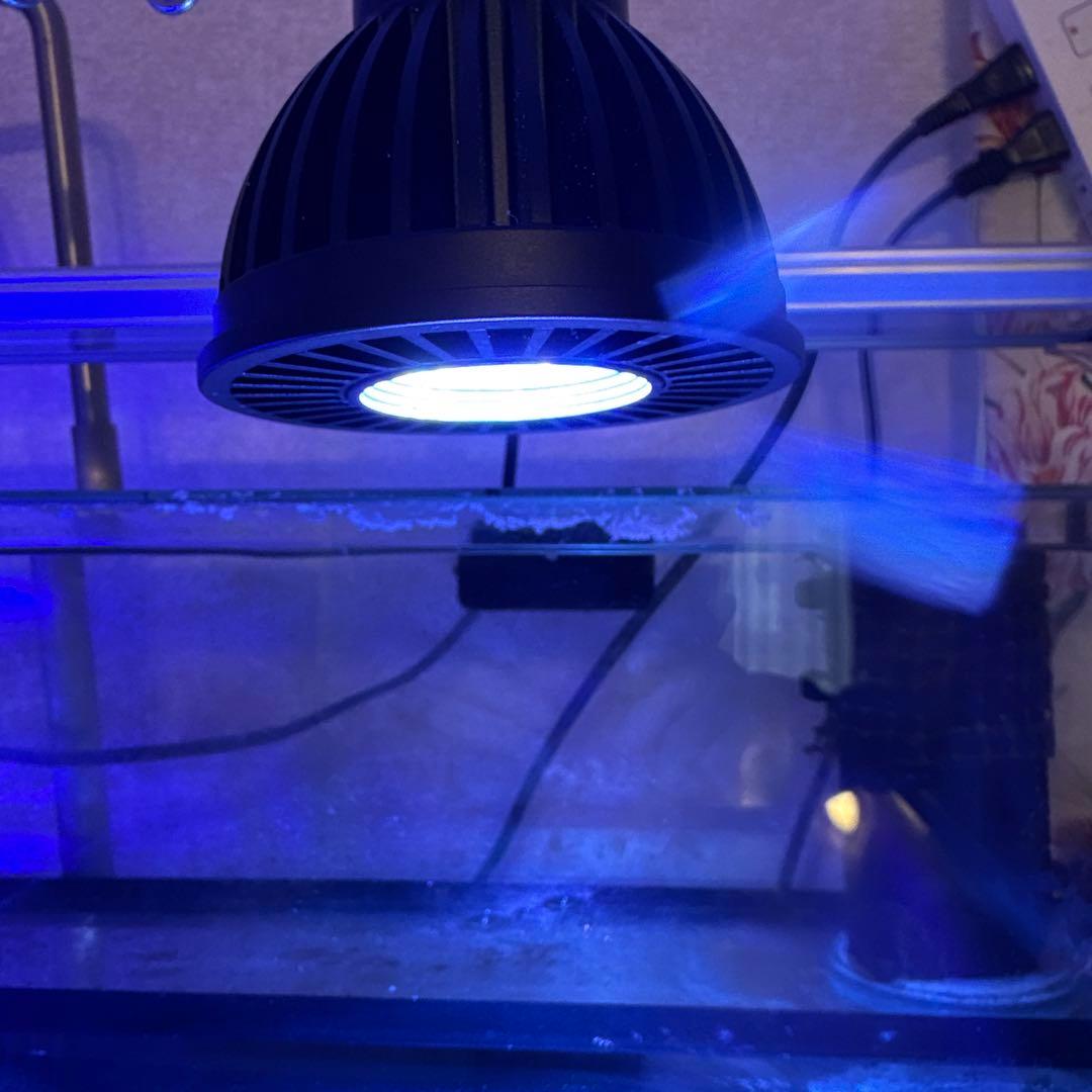 volxjapan GrassyLeDioRX121s RFB LEDライト