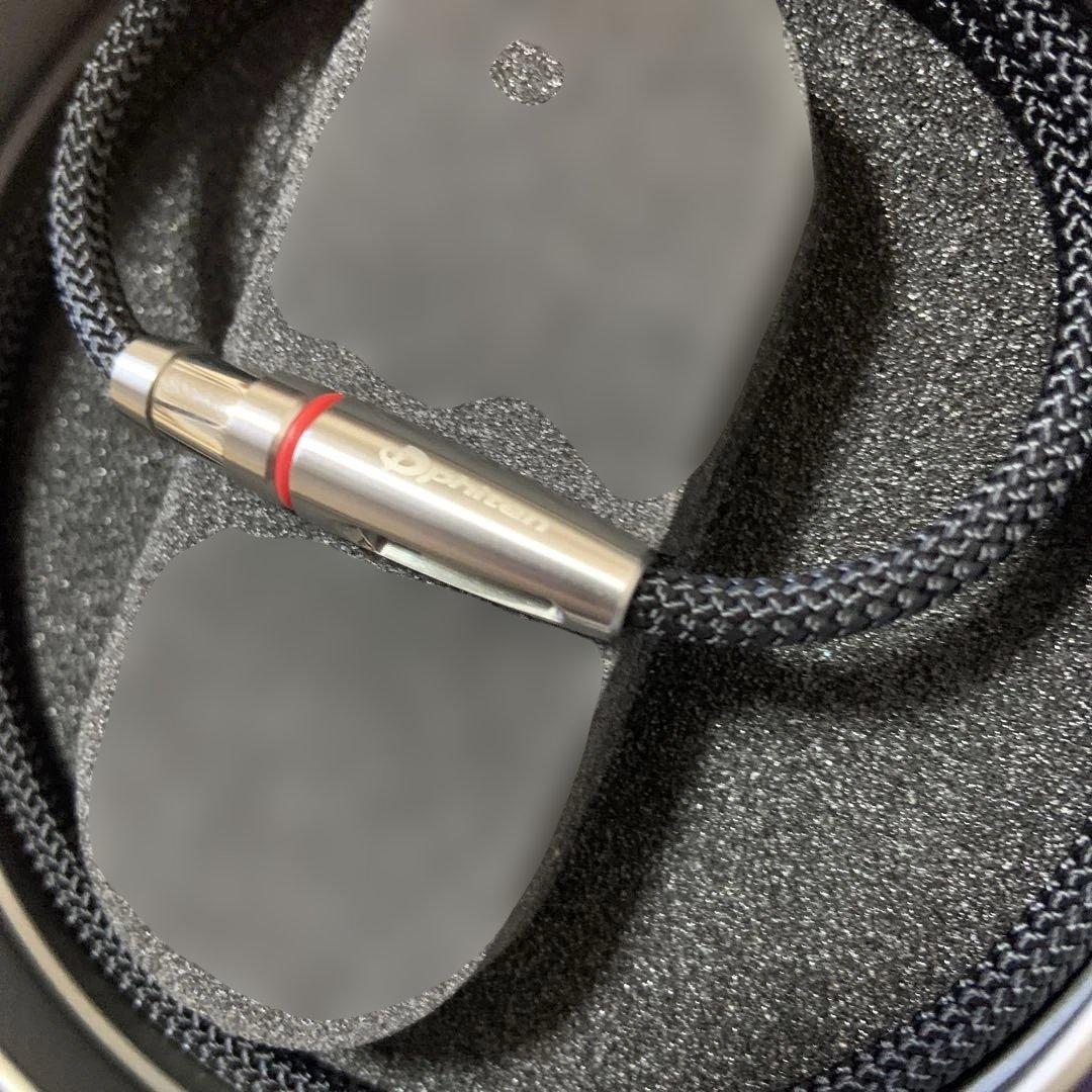 ファイテン　RAKUWA ネックX100 リーシュモデル　50センチ