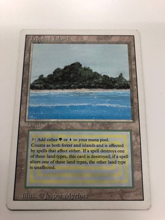 マジック：ザ・ギャザリング mtg Tropical 