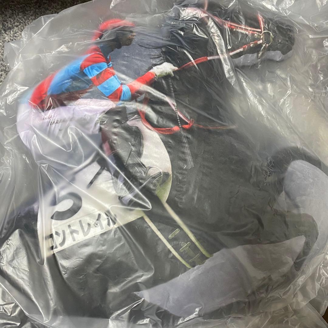 コントレイル リアルプリントクッション