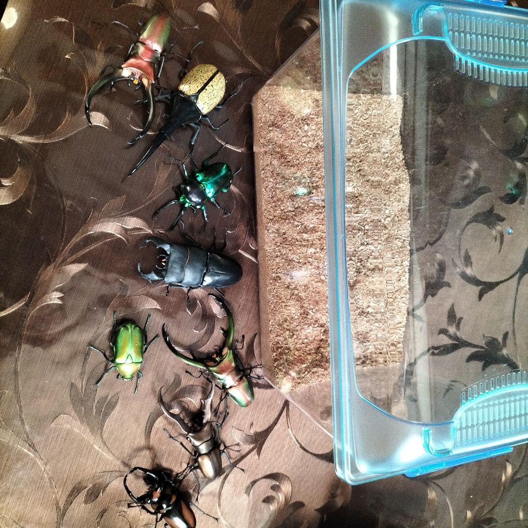 昆虫大図鑑、エラフスホソアカクワガタ、ギラファ等、ヘラクレスオオカブト