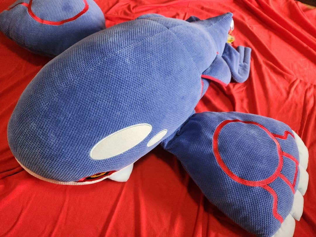 ポケモン　ハートランド　カイオーガ　ぬいぐるみ　ほーのぼ～の