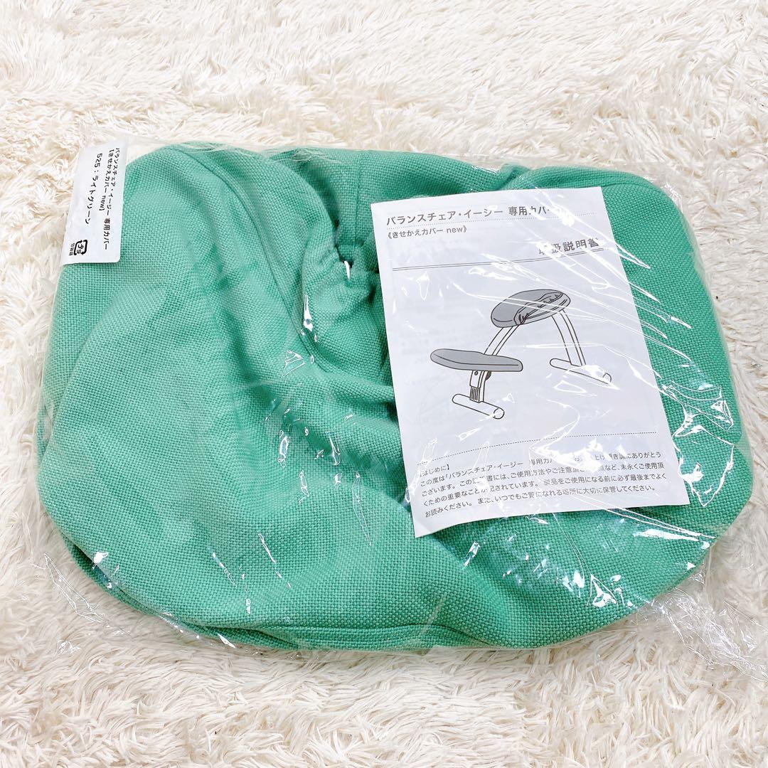 バランスイージー Balans Easy ライトグリーン カバーと六角レンチ付き