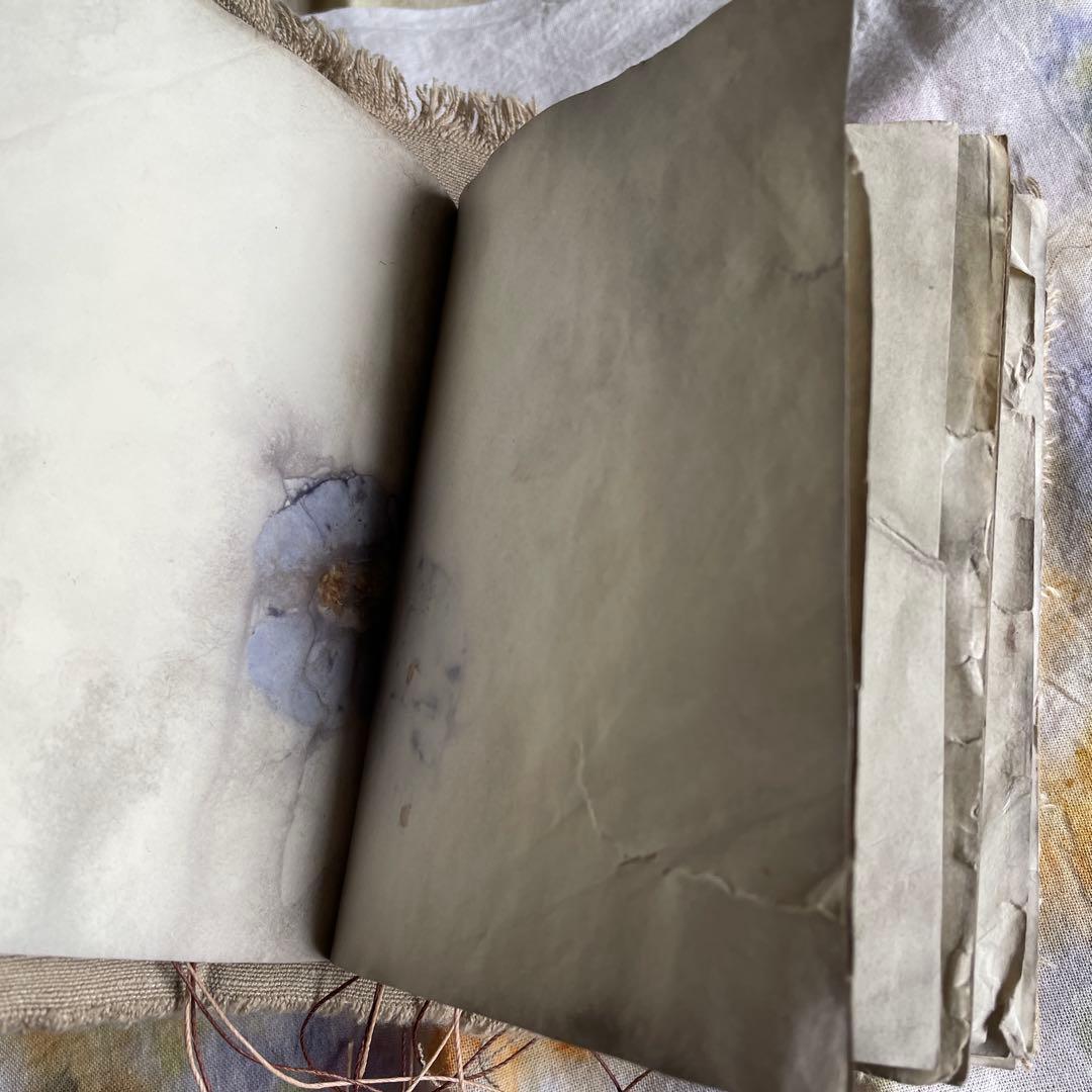 7月20日　ぱおら様2冊　「花ゲリラの本」　 「襤褸の本13〜路地裏の本2〜」