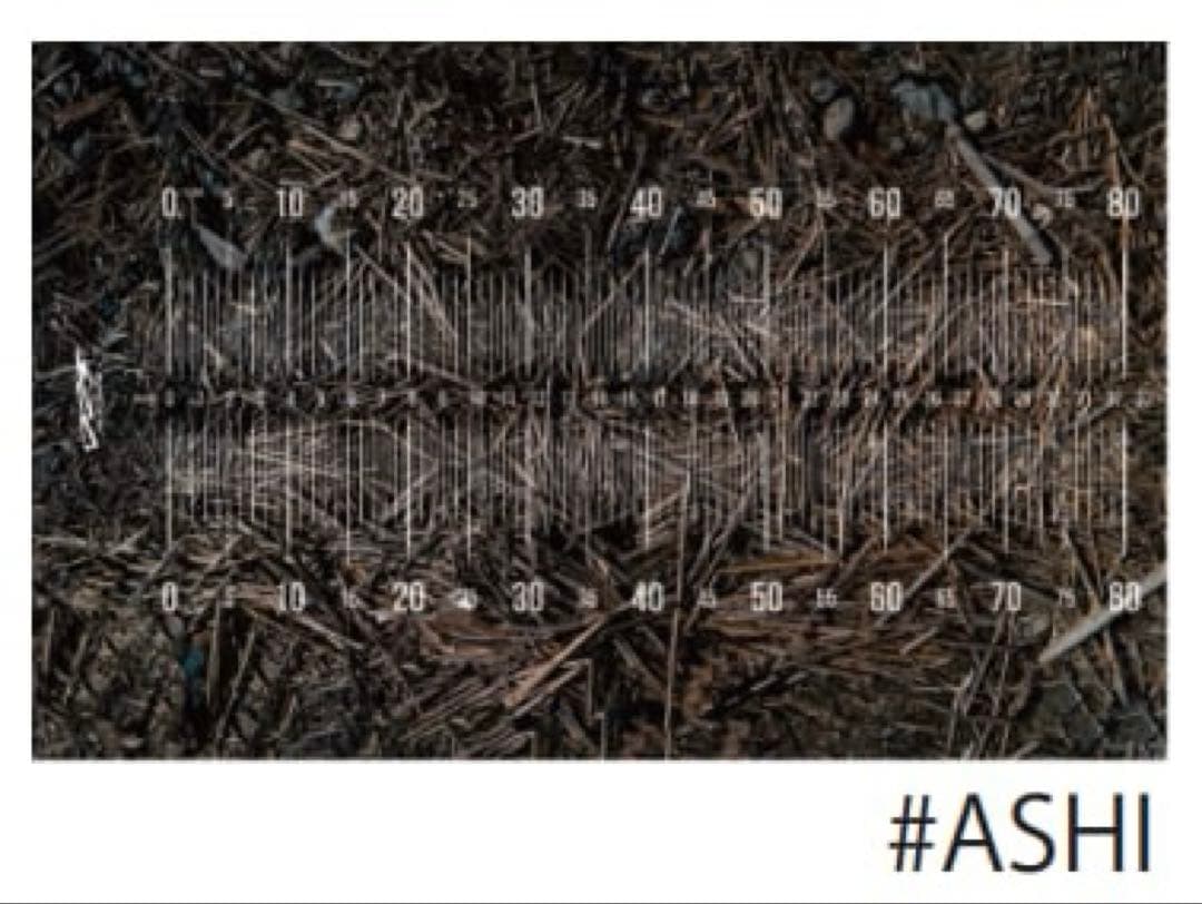 DRT ポリス　マジックトラウト　パーツケース