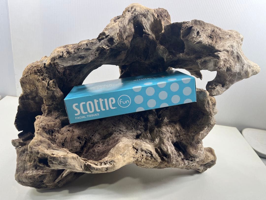 W30大型流木アク抜き済み流木 爬虫類シェルター 登り木 インテリア 生け花