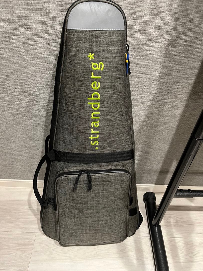 【美品】strandbergNX6 BodenStandard6弦ギター 付属品