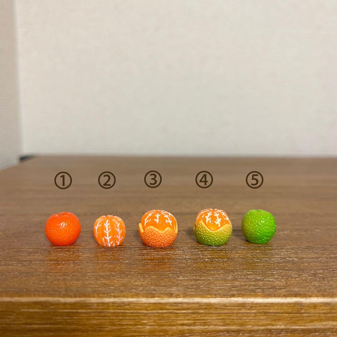 No.1597　選べるみかん　ミニチュア　デコパーツ