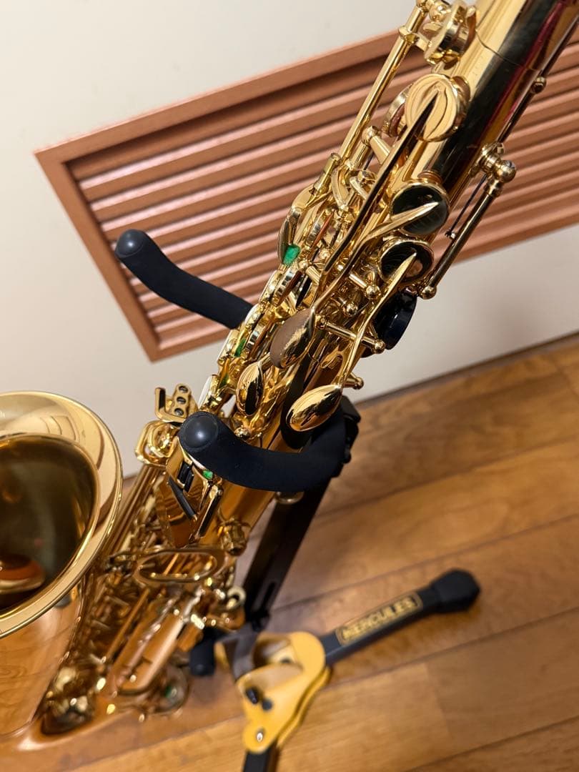 アルトサックスA2000GPシルフィード（シャイニーケース付き）