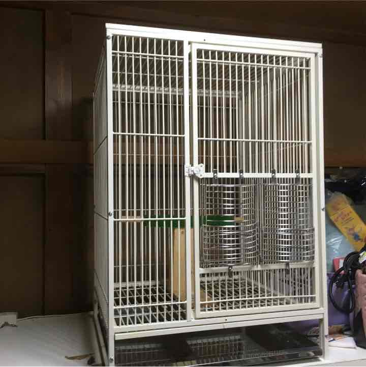 小動物。鳥。猿。イグアナ