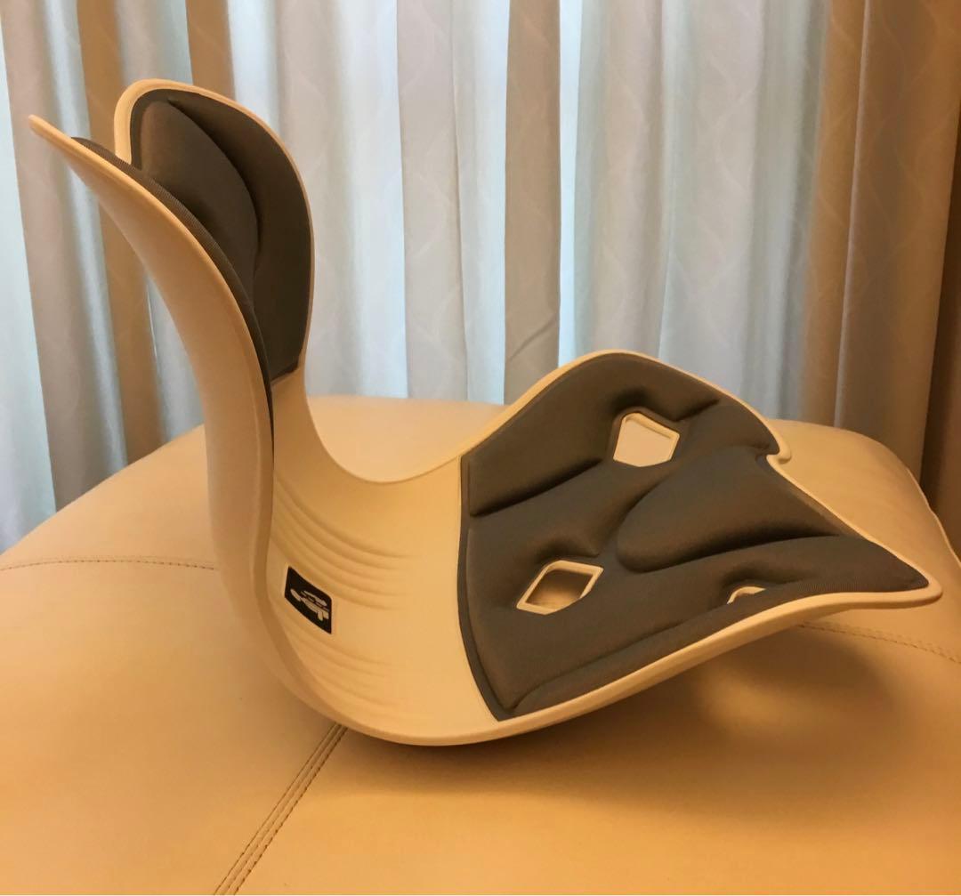 超美品✨MTG Style PREMIUM DX&姿勢サポートチェア　2個セット