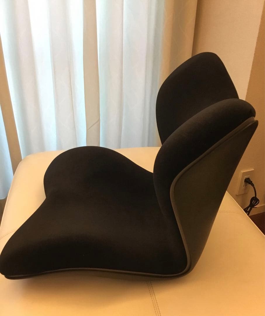 超美品✨MTG Style PREMIUM DX&姿勢サポートチェア　2個セット