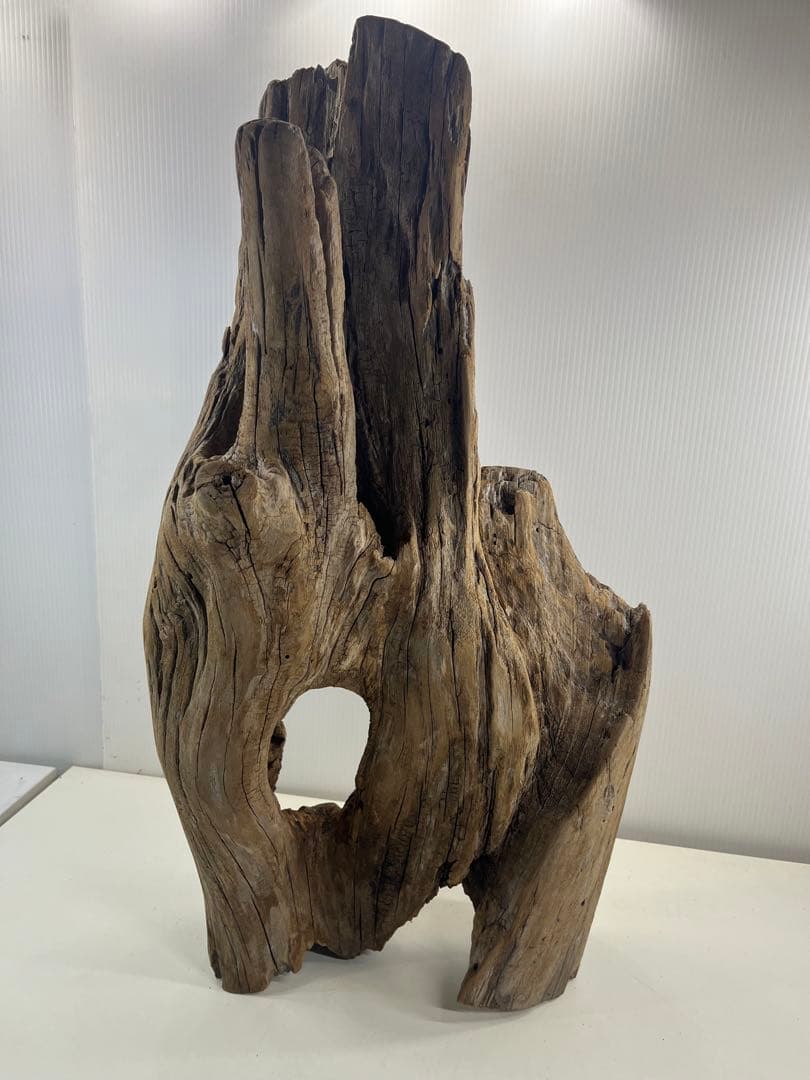 W28特大流木アク抜き済み流木 爬虫類シェルター 登り木 インテリア 生け花