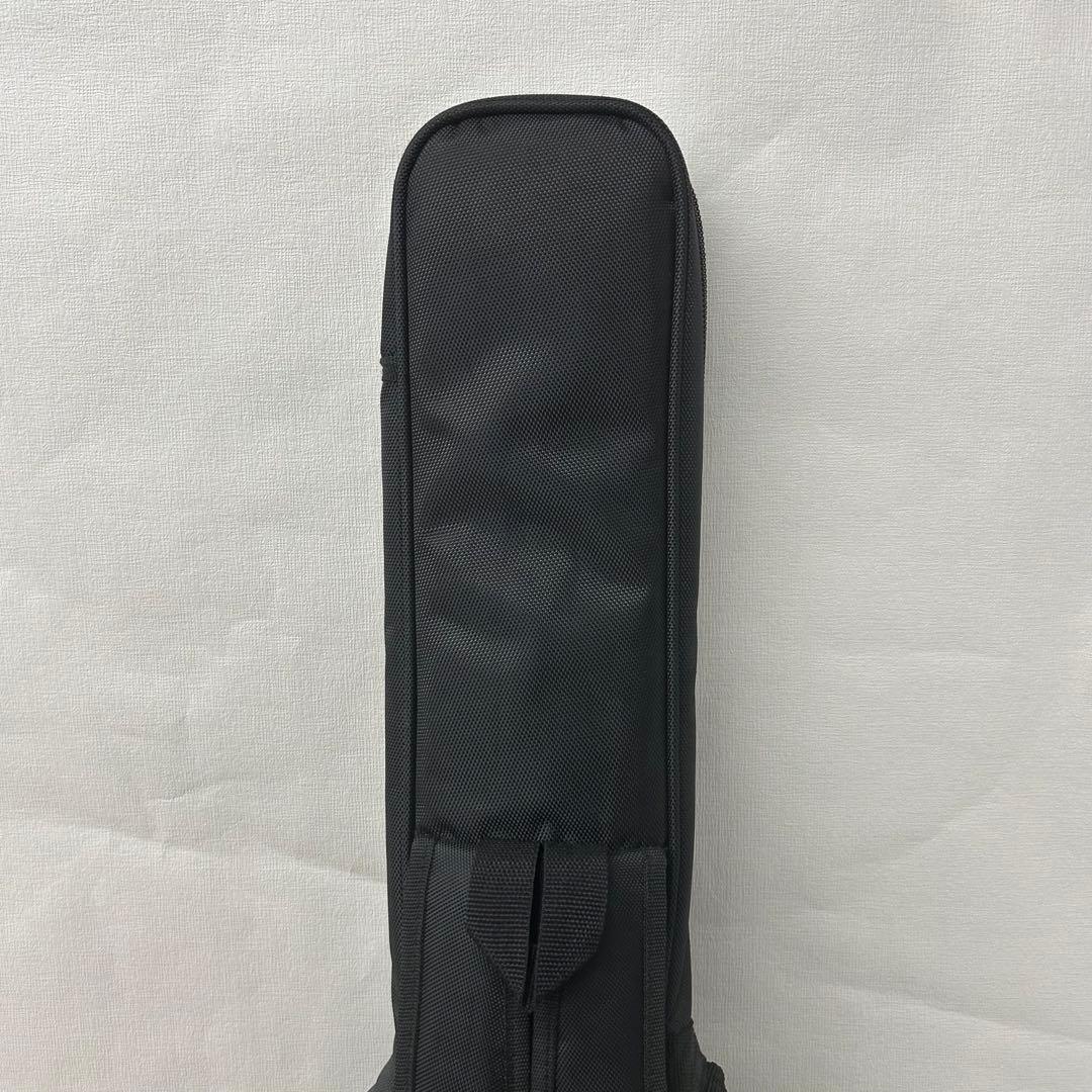 A.C. ZEMAITIS（ゼマイティス）アコースティックギターCAM-60H