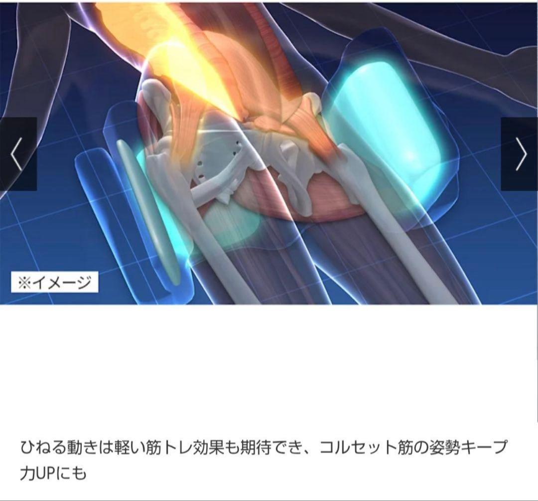 ポルト AirPlie DELUXE エアプリエ DELUXデラックス　美品