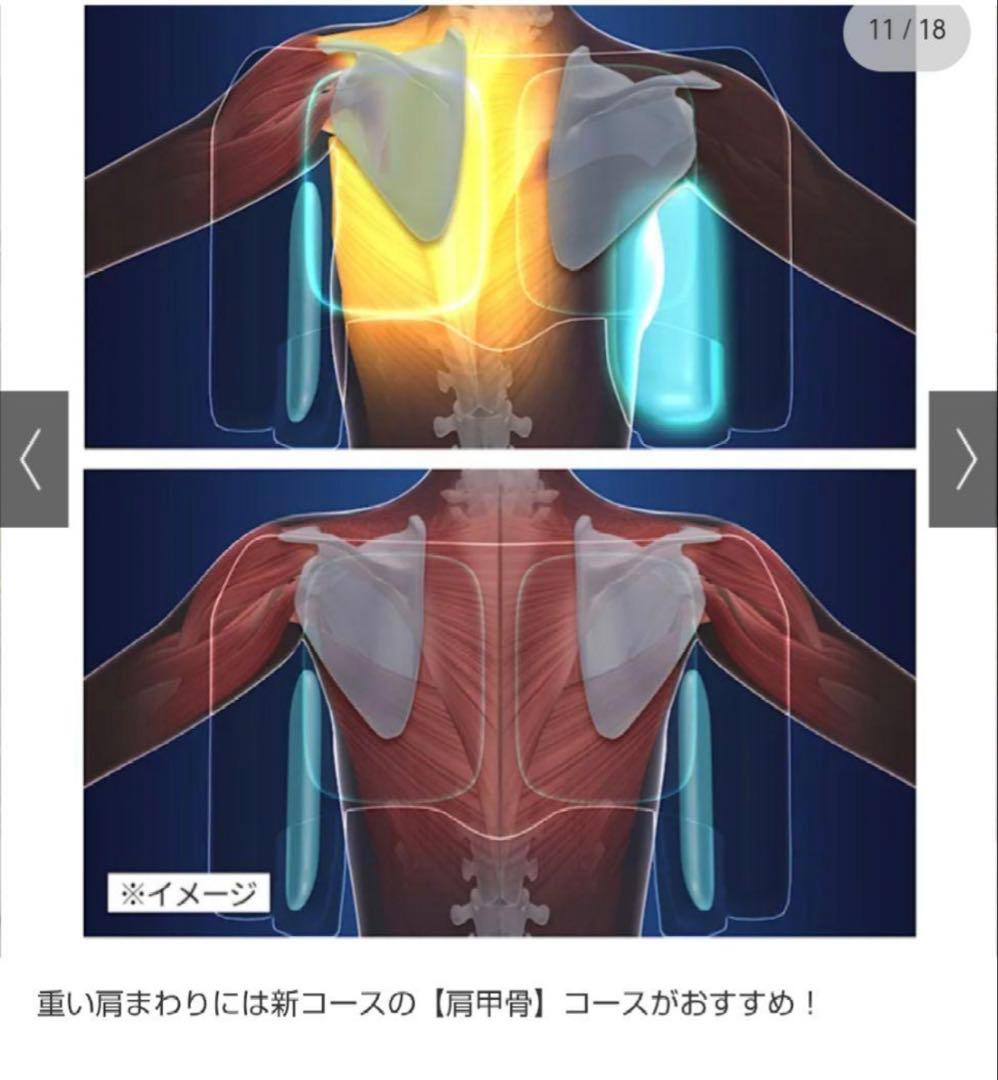 ポルト AirPlie DELUXE エアプリエ DELUXデラックス　美品