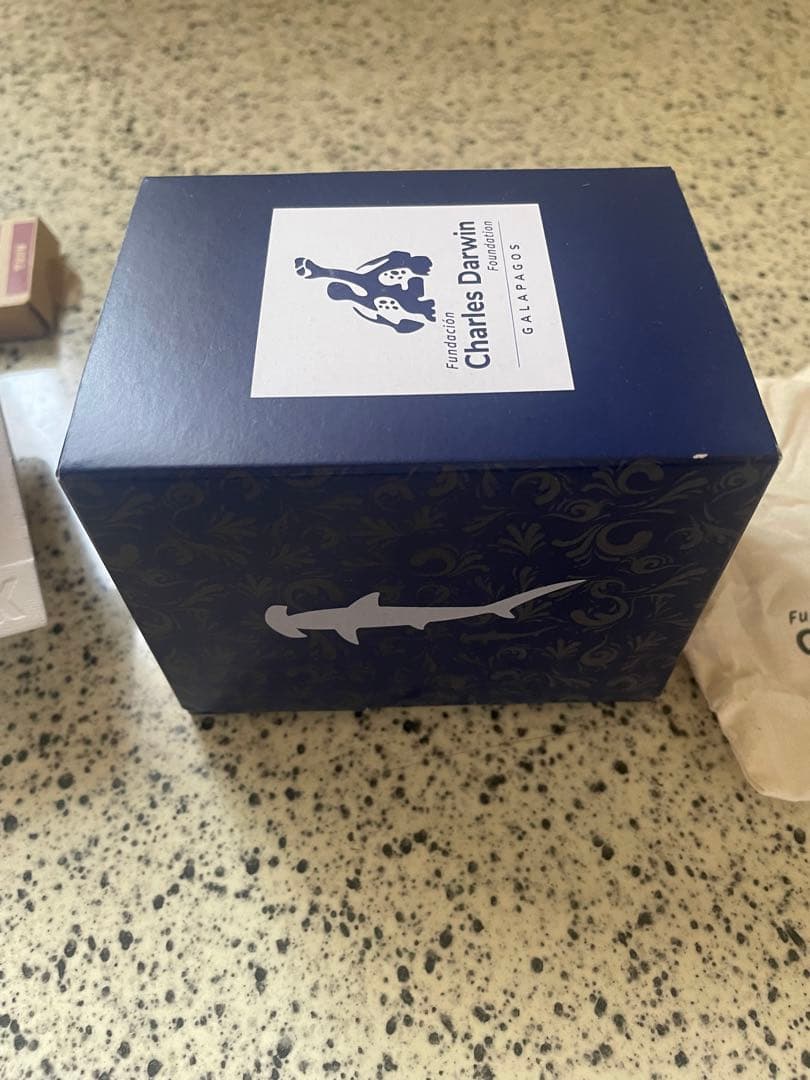 時計 CASIO G-SHOCK DW-B5600CD-1A2JR