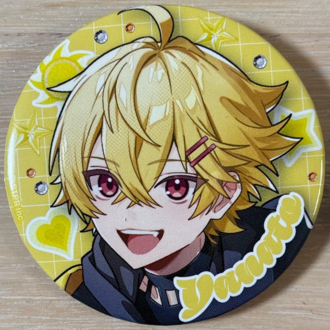 やなと 1st Step- ver. すにすて 缶バッジ 10点