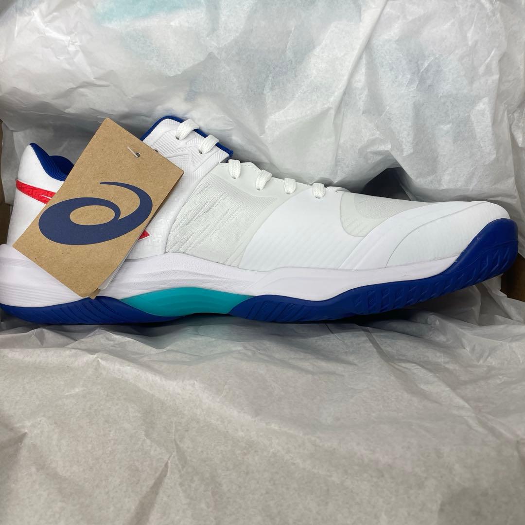 アシックス SKY ELITE FF 3 29.0cm