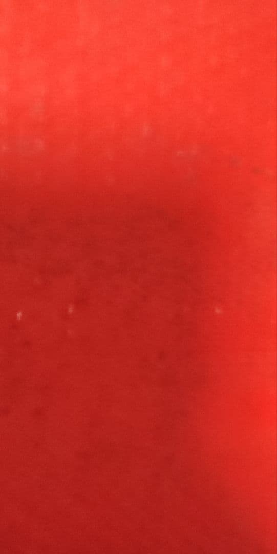 EXPO70 日本万国博覧会開催記念万博トロフィー　太陽の塔