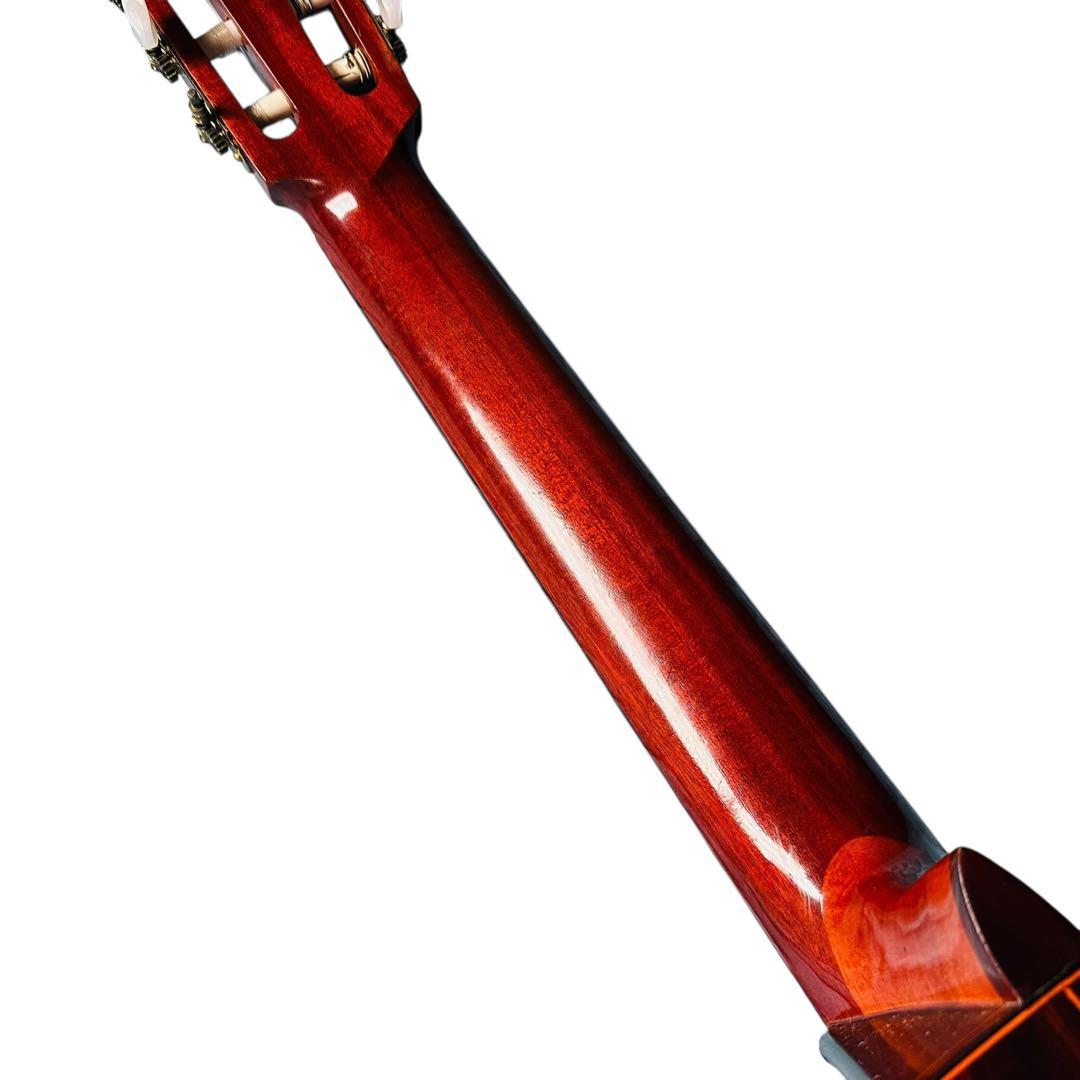 FERNANDES フェルナンデス　アコースティックギター　CC-15