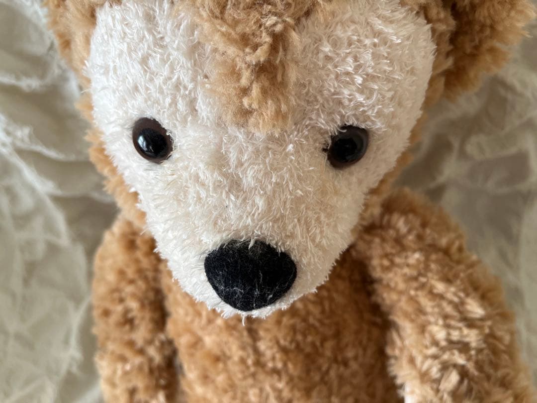 ダッフィー　シェリーメイ　ジェラトーニ　ステラルー　ディズニー　シー　フレンズ