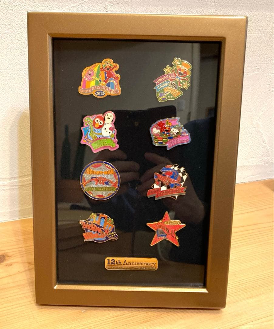 【希少・非売品】USJ 12周年ピンバッジ　盾&箱付き　バックドロップピンズ