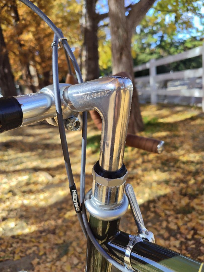 RALEIGH ラレー RSS RSW SPORT RSWカスタム