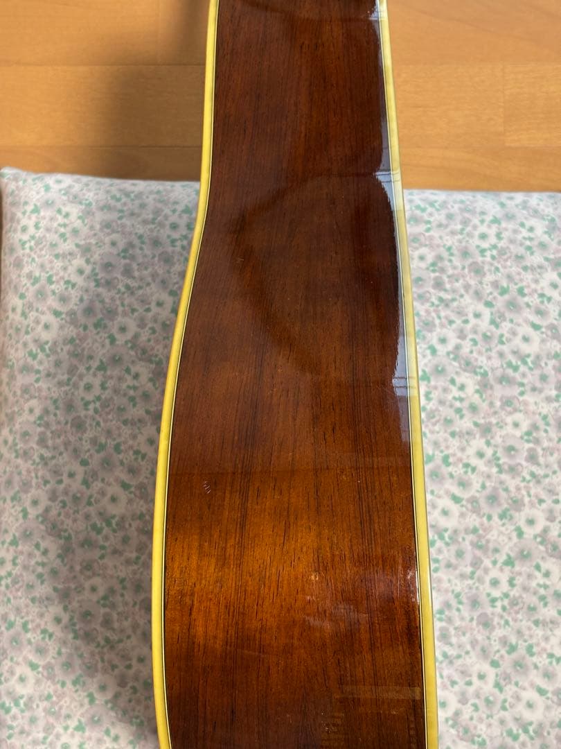 後期型！Morris モーリス　TF W-50 バックハカランダ3p