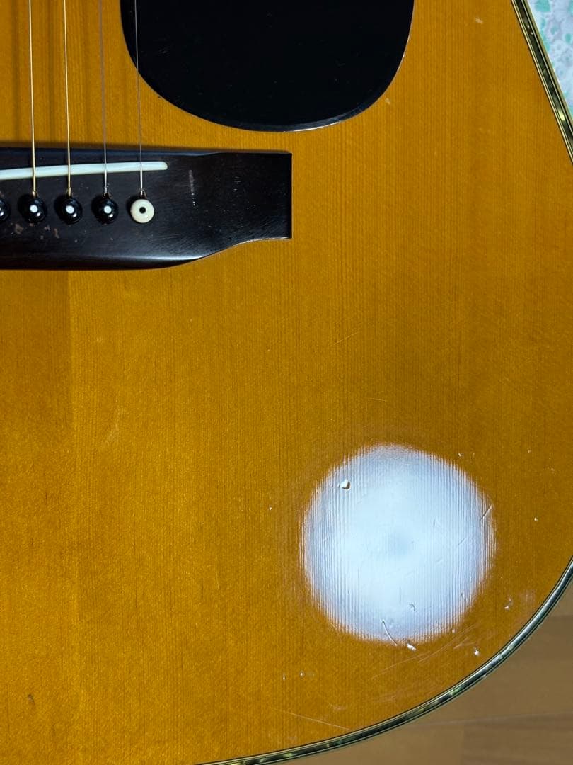 後期型！Morris モーリス　TF W-50 バックハカランダ3p