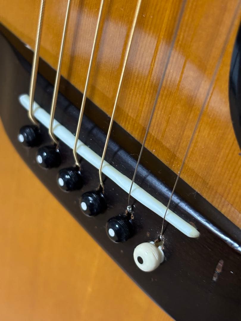 後期型！Morris モーリス　TF W-50 バックハカランダ3p