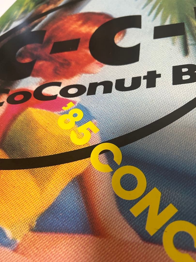 ☆激レア☆C-C-B☆コンサートツアー’85☆メンバーサイン入りパンフレット☆