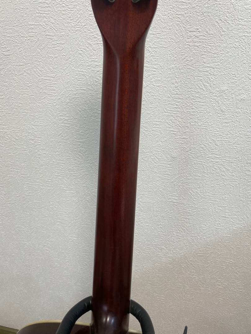 Morris アコースティックギター