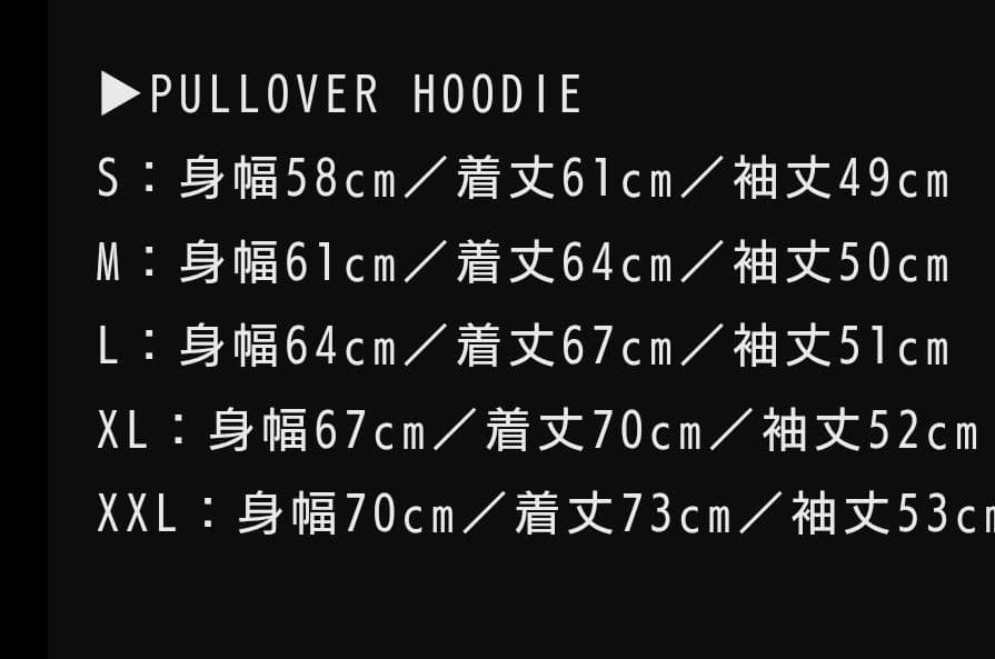 BABYL PULLOVER HOODIE Lサイズ パーカー