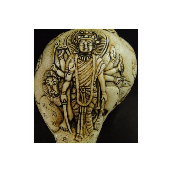 ◆チベット密教法具　法螺貝（シャンカ）ドゥルガー