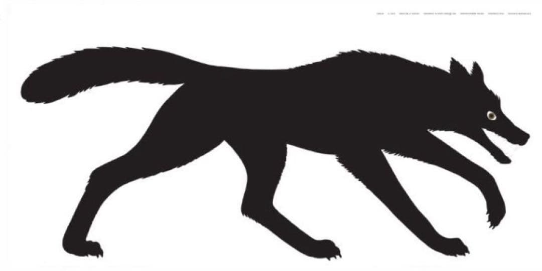 DANESE ダネーゼ EnzoMari エンツォマリ オオカミ　ポスター